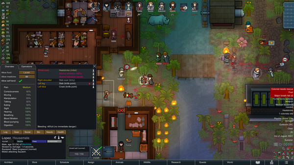 RimWorld Starter Route Hub